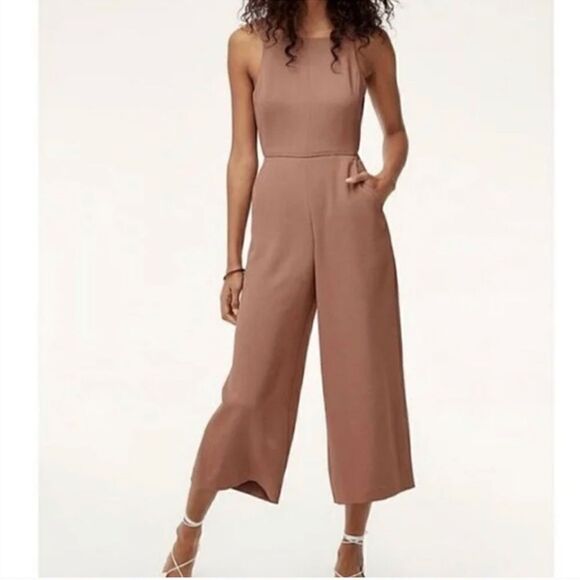 Wilfred Pants - Aritzia Wilfred Ecoulement Jumpsuit in Nutmeg